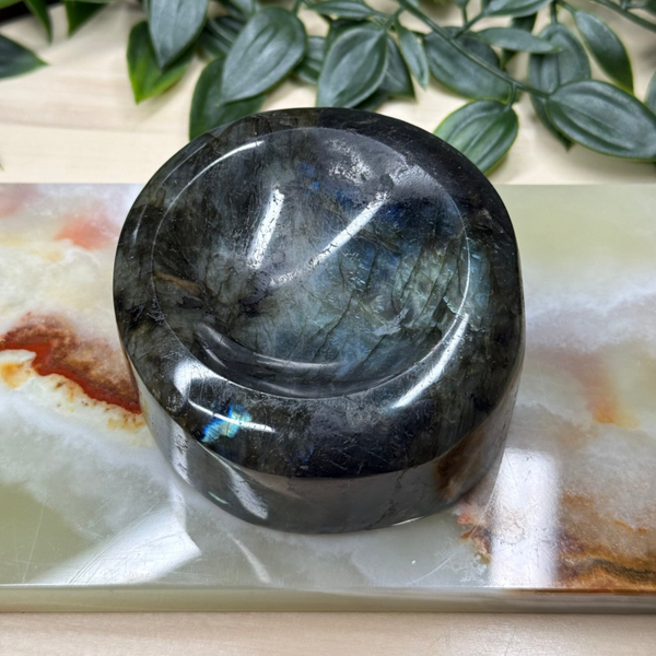 Labradoriet schaal rond