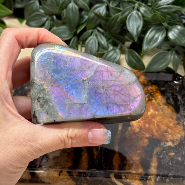 Labradoriet free-form paarsroze