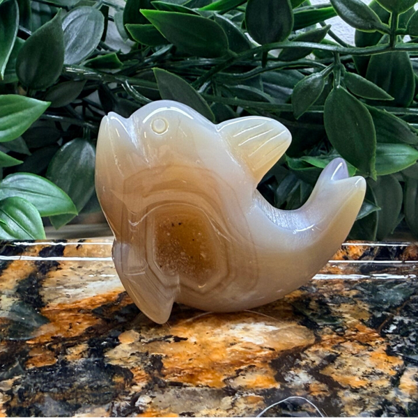 Dolfijn agaat druzy beeldje