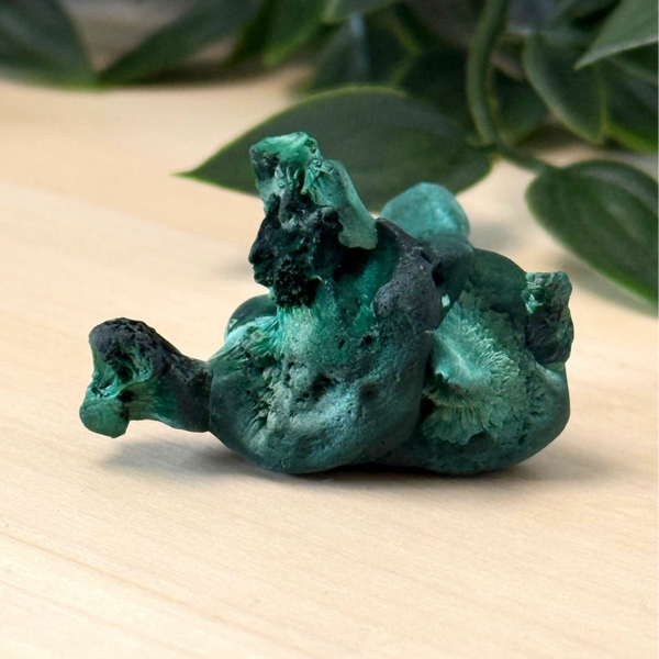 Malachiet fluweel (botryoïdaal)