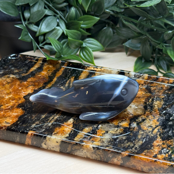 Orca agaat haai carving