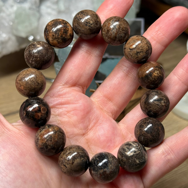 Fossiel koraal zwart armband 16 mm