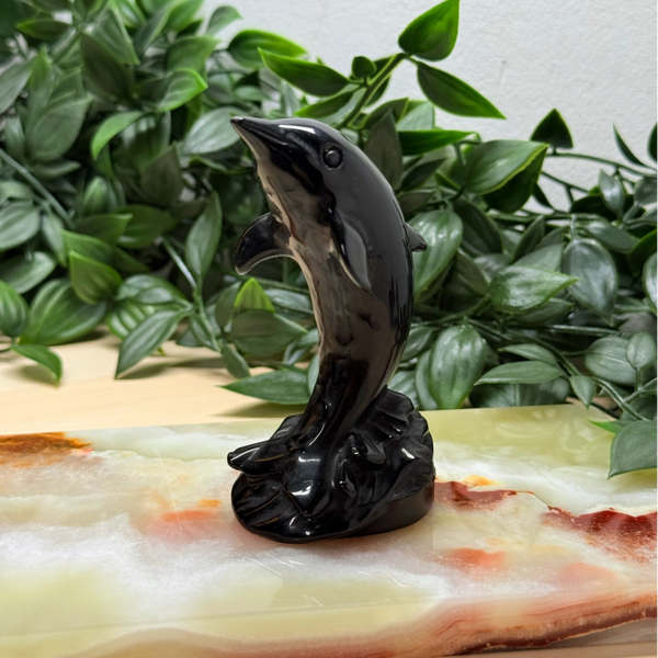 Dolfijn obsidiaan