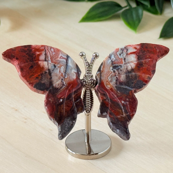 Vlinder Mexicaans lace agaat