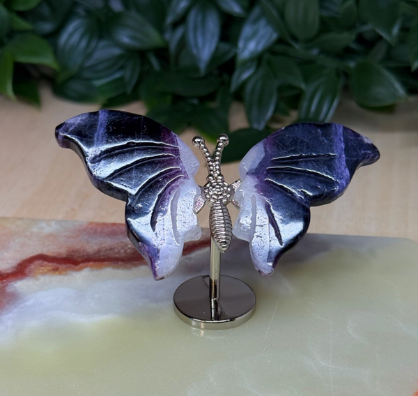 Vlinder paars fluoriet