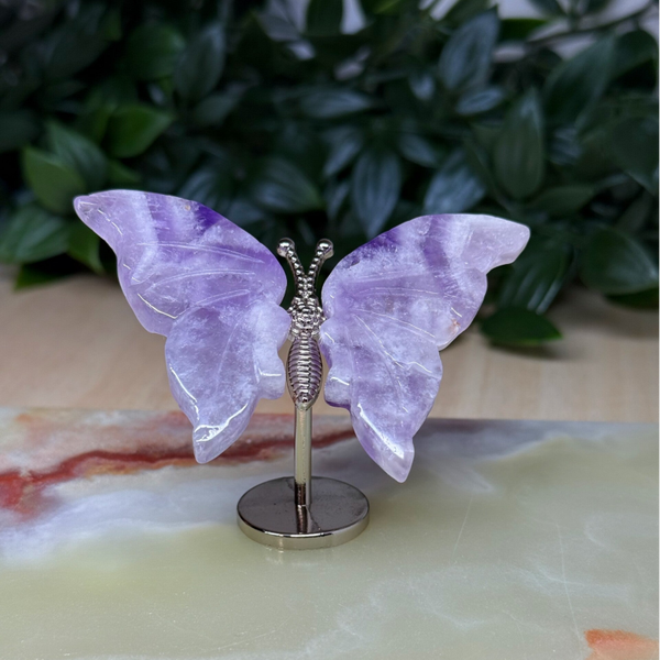 Vlinder Chevron amethist