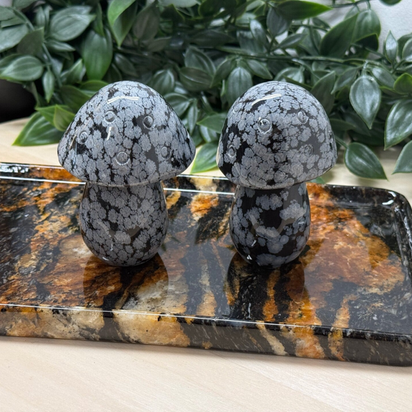 Paddenstoel van sneeuwvlok obsidiaan