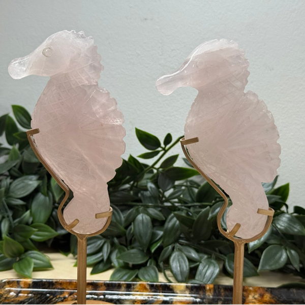 Rozenkwarts zeepaard