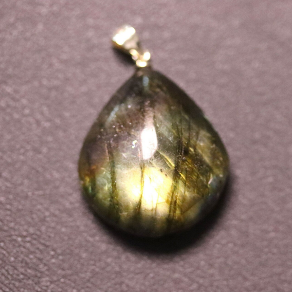 Labradoriet hanger 2