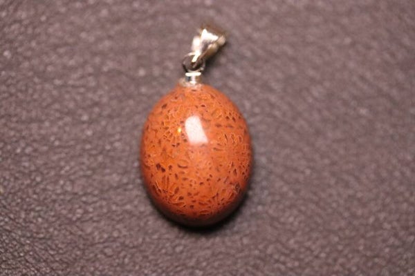 Fossiel koraal hanger ovaal 1