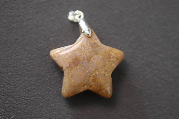 Fossiel koraal hanger stervormig