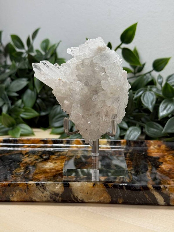 Naaldkwarts cluster met houder