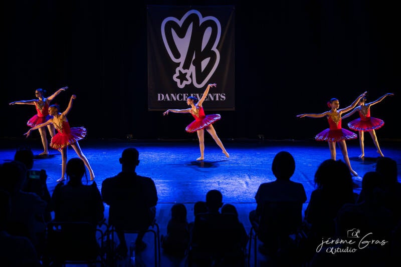 dsc03006-standard.jpg