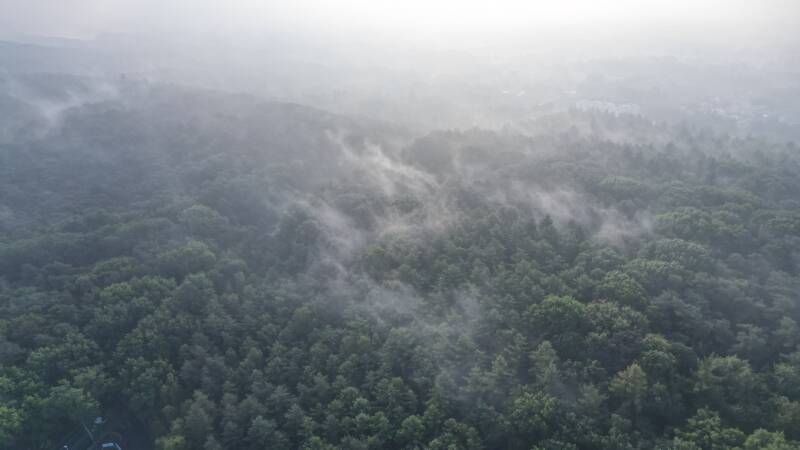 Morningfog Heusden-Zolder