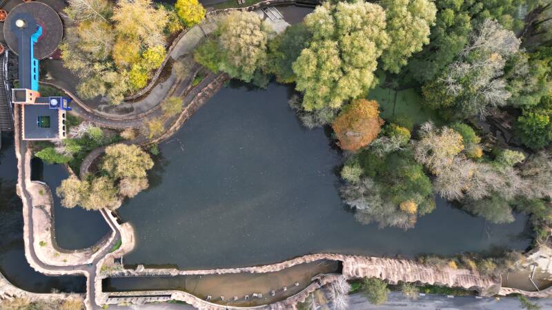 Walibi Wavre 