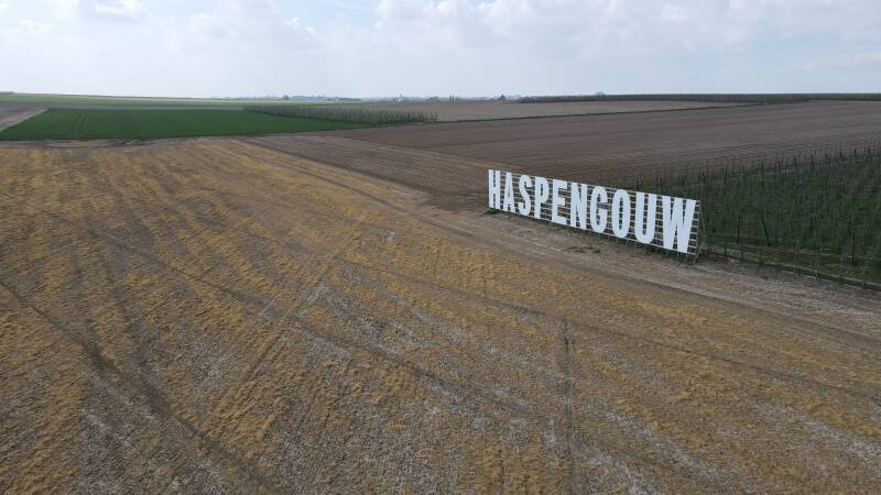 Bloesembar 2022
