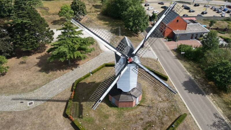 Windmolen Tessenderlo