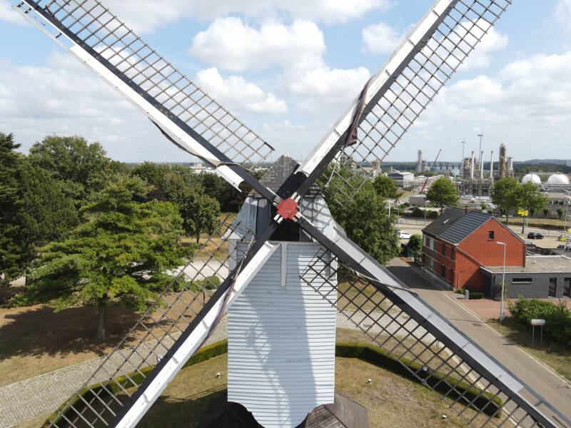 Windmolen Tessenderlo