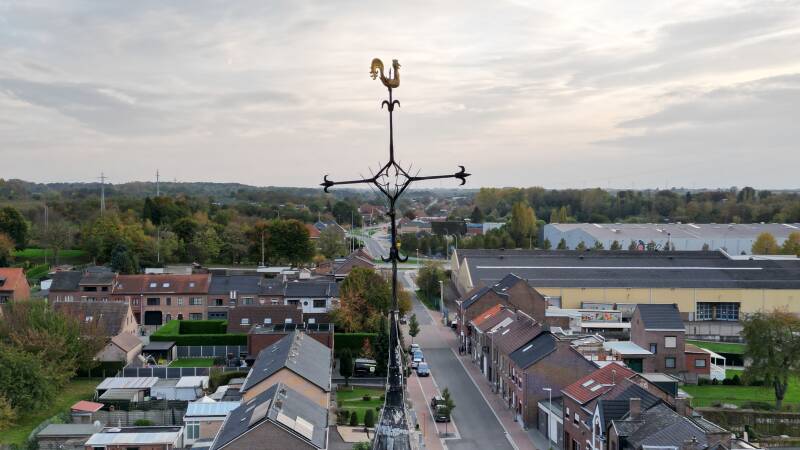 Windhaan Sint-Pieter