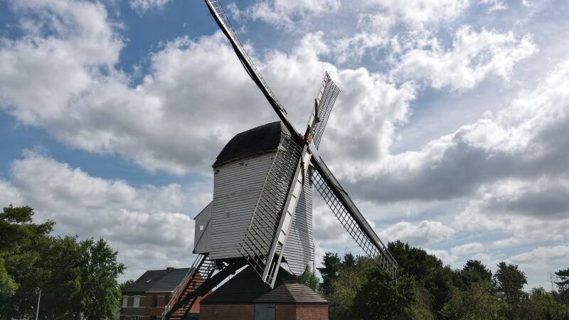 Windmolen Tessenderlo