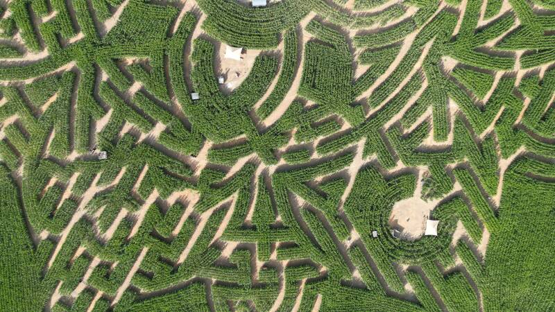 Labyrinth Barveaux