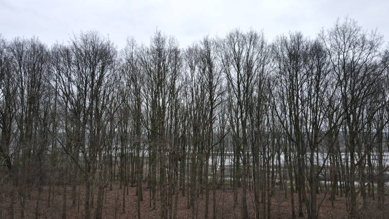 dji_0239jpg-2.jpg