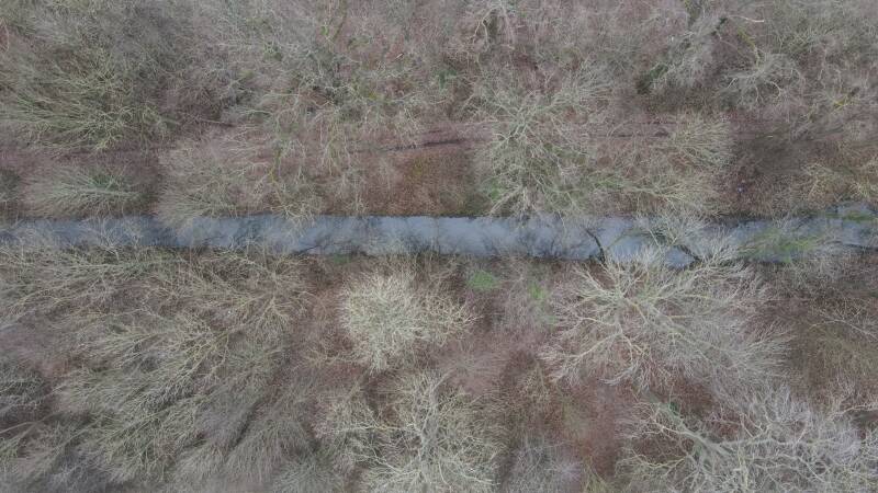 dji_0269jpg-2.jpg