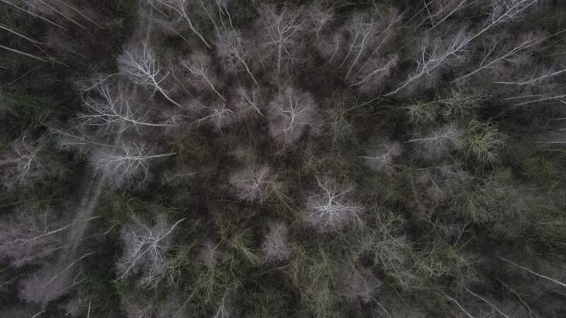 dji_0667jpg-2.jpg