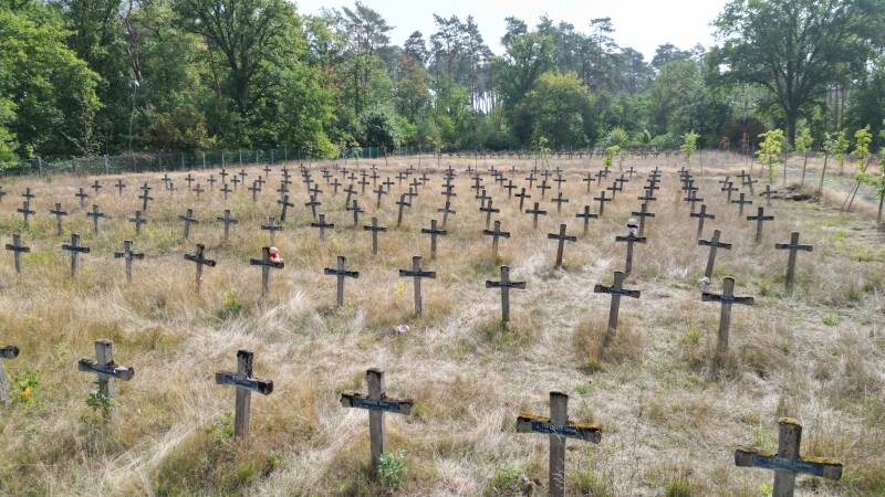 Cemetry of the insane 2022