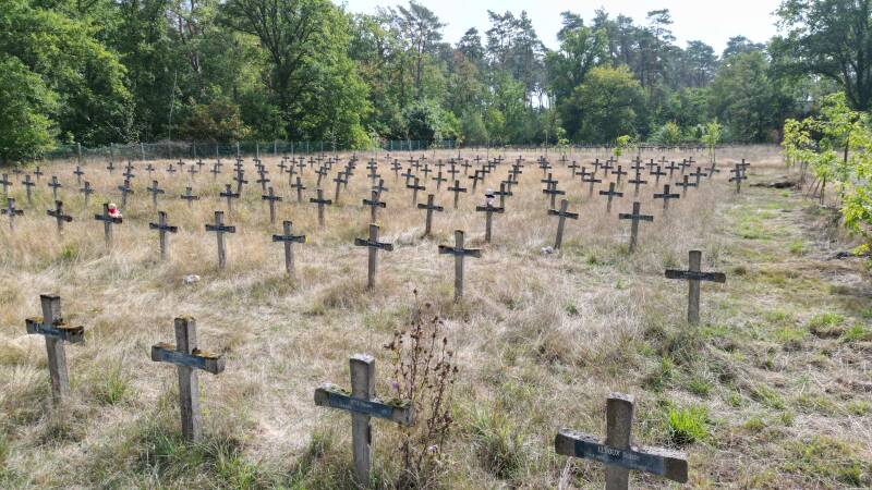 Cemetry of the insane 2022