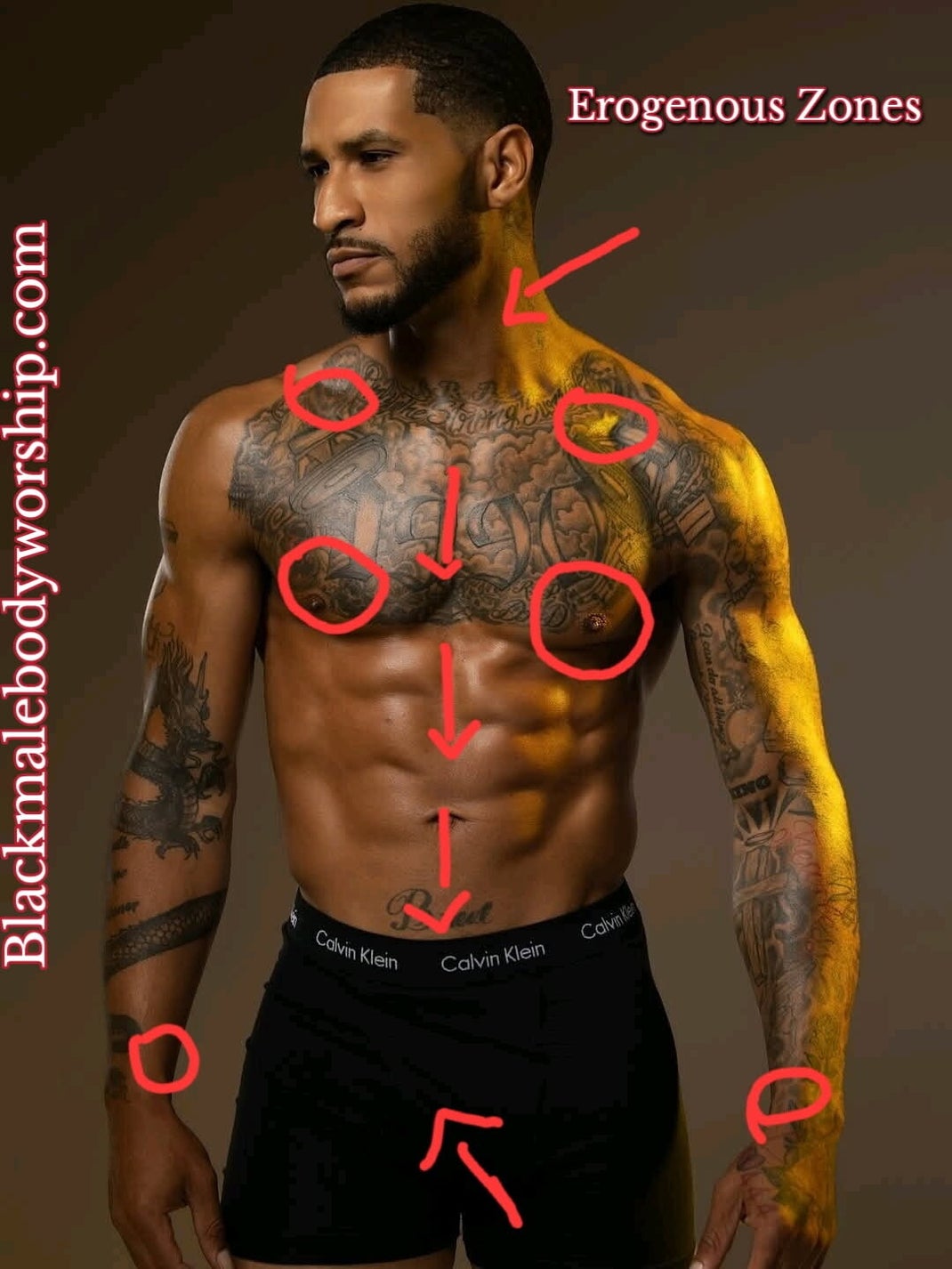 Human infographic of a muscular Black male model with erogenous zone markings on his body, demonstrationing spots on his physique that turn him on.