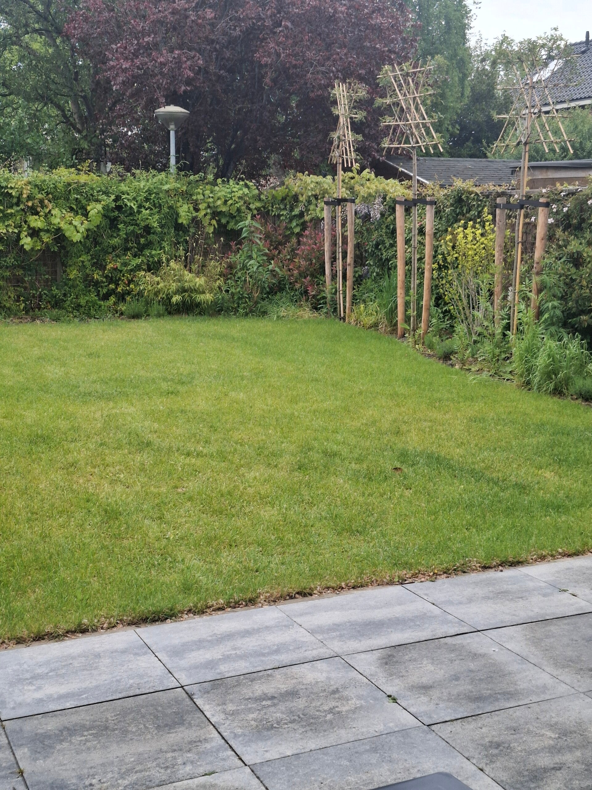 Ontspannen in de tuin met een klein groepje