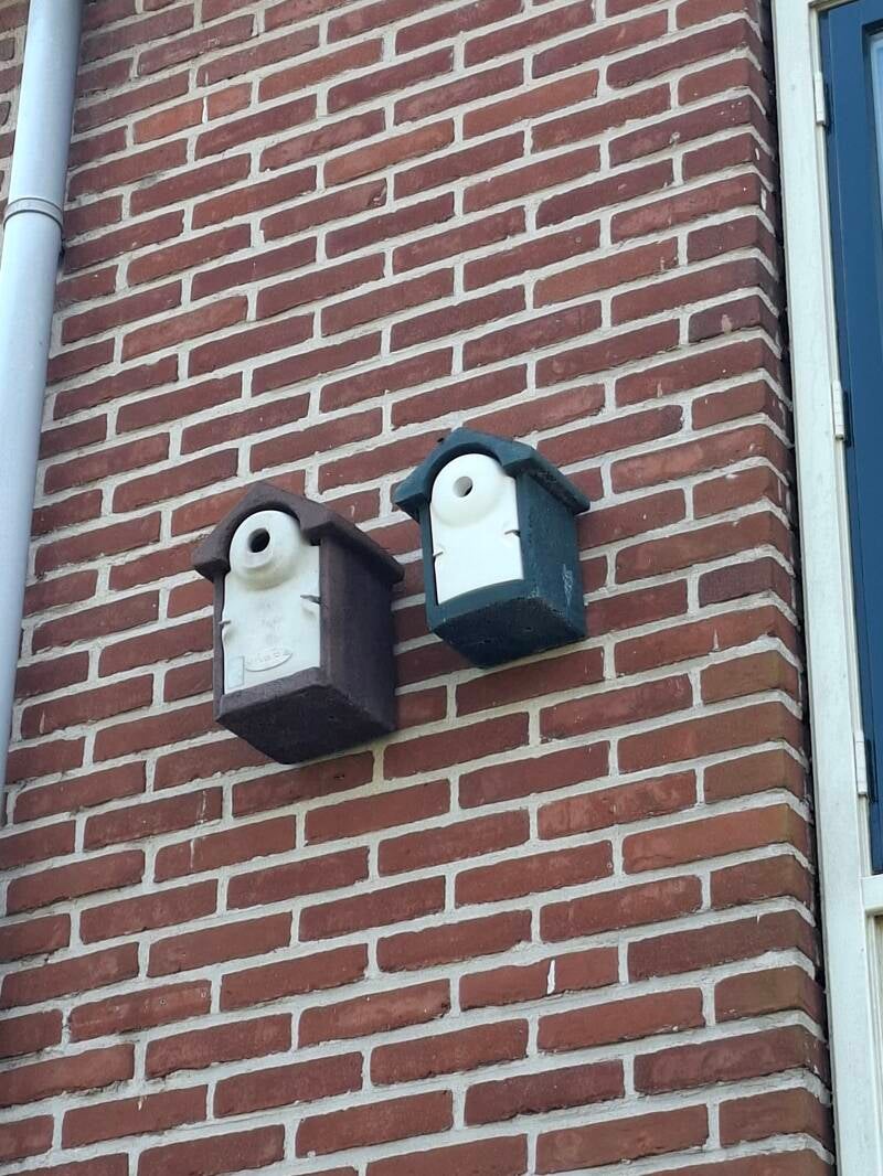 De kolmeesje hebben het "druk"