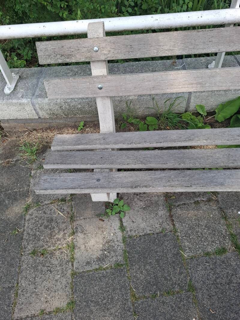 Leeg houten bankje in een groene omgeving als symbool voor rust, aandacht en verbinding.