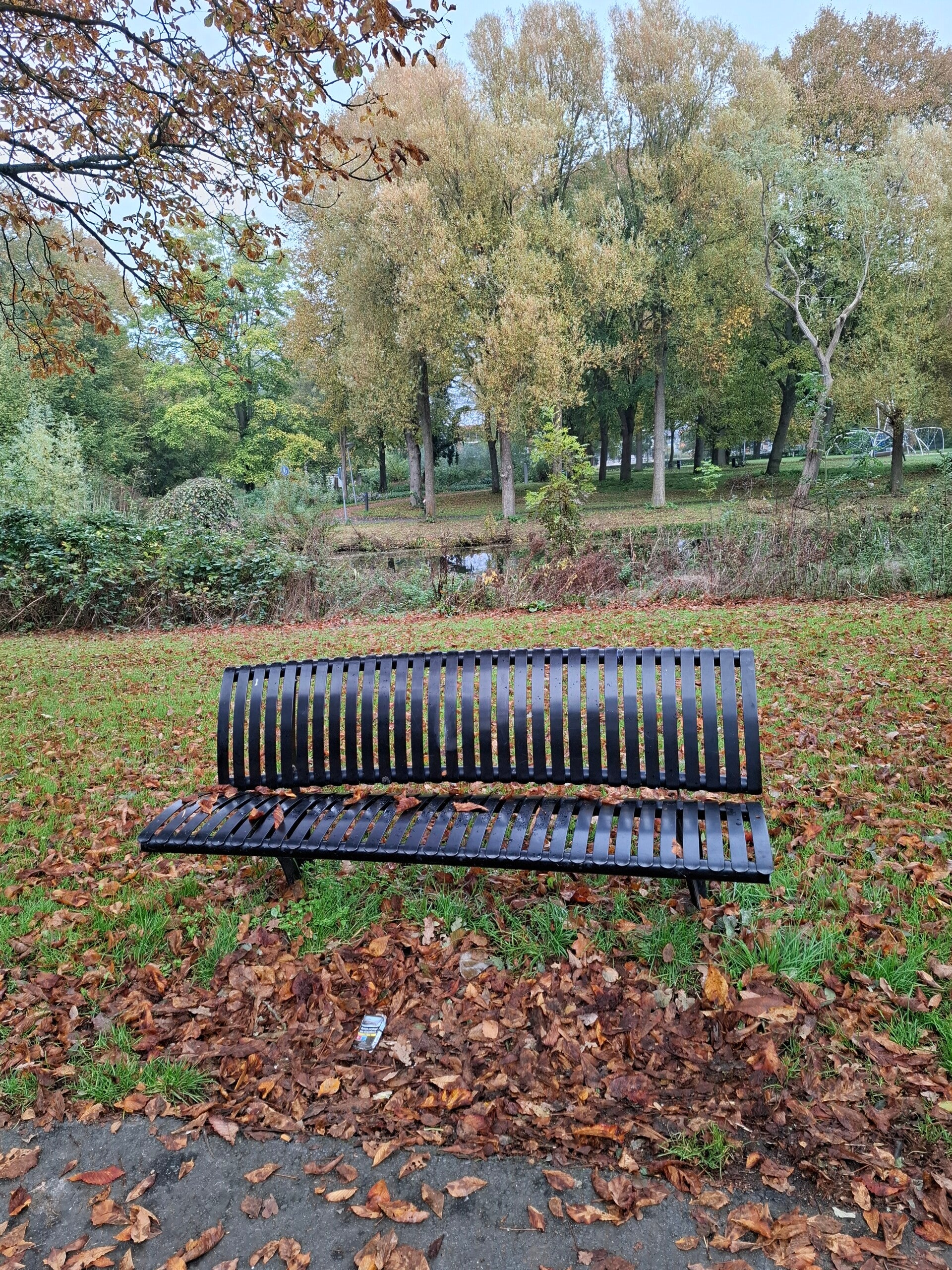 Herfst in het Oosterpark in Alkmaar, waar bomen en vallende bladeren uitnodigen tot rust en bewust loslaten.