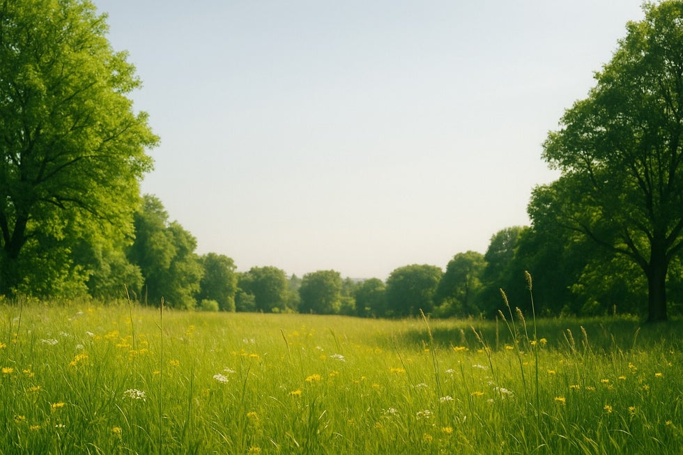 Zomer en eenvoud