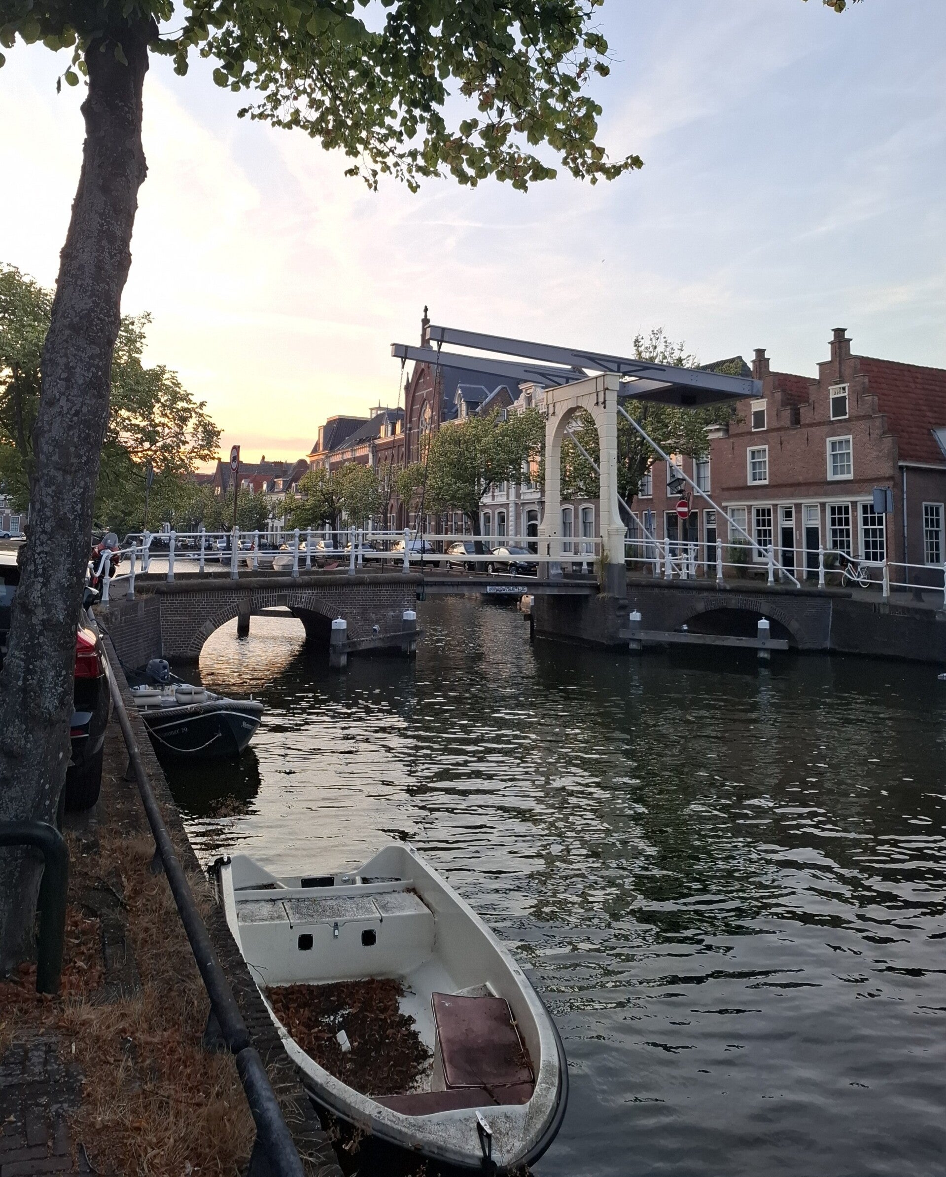 Oudegracht in Alkmaar tijdens een rustige zomeravond met brug, water en historische gevels