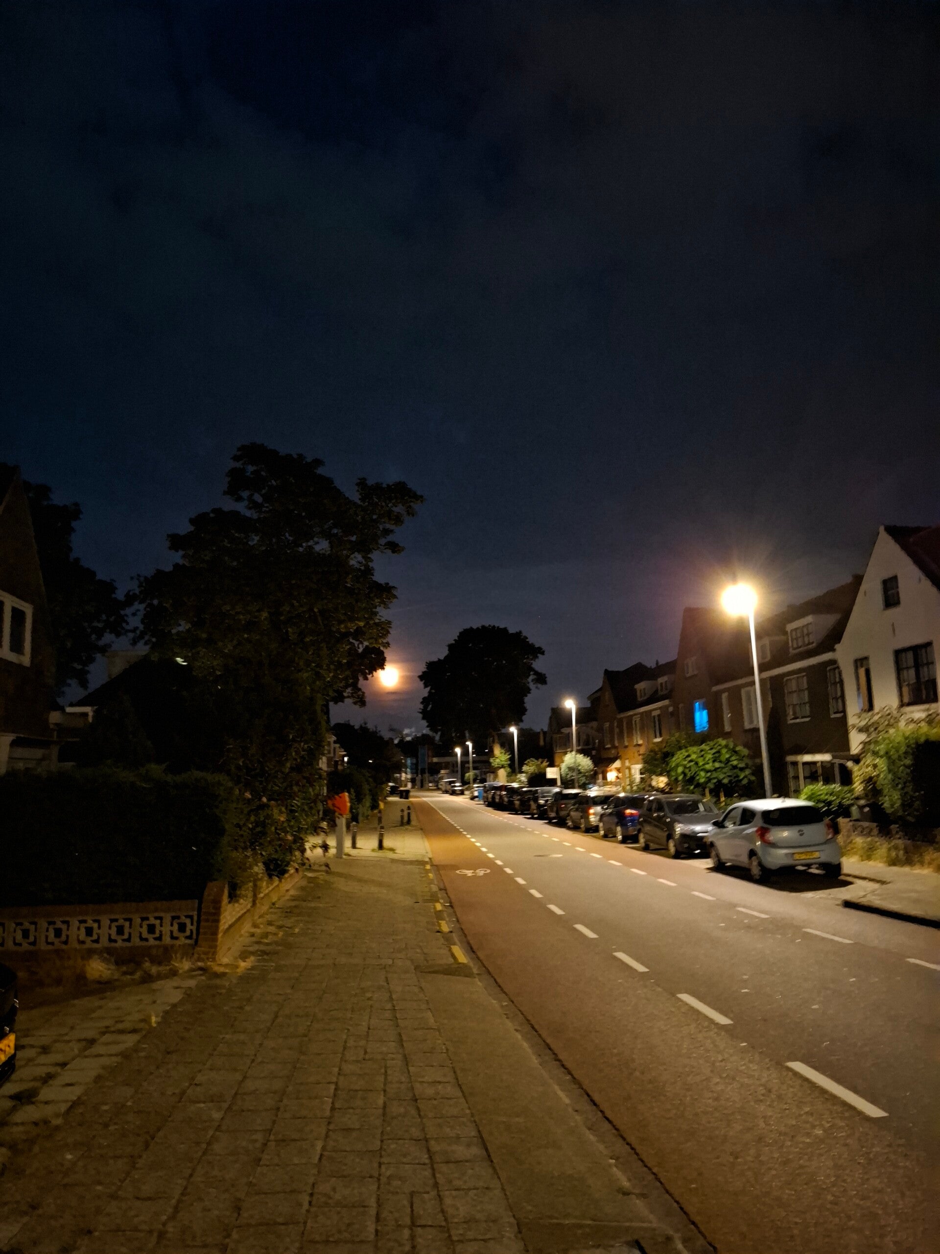 Avondwandeling in Alkmaar met de volle maan boven de bomen en straatverlichting.