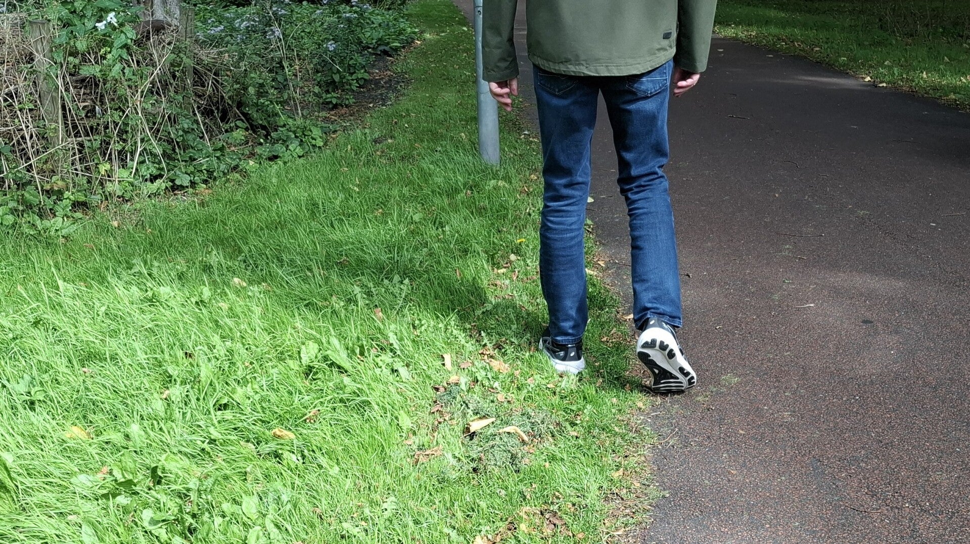 Marchal wandelt langs gras en gevallen bladeren in het Oosterpark in Alkmaar