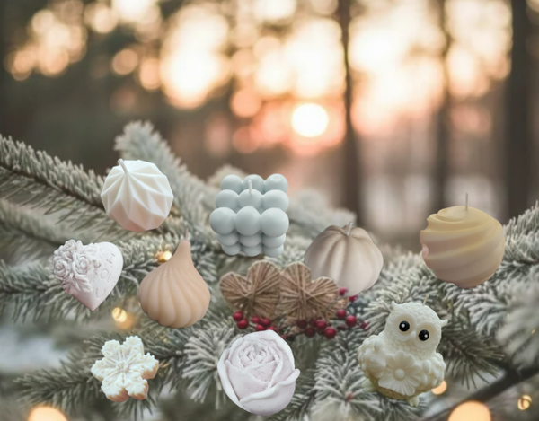 Moulée Aiguille de Pin