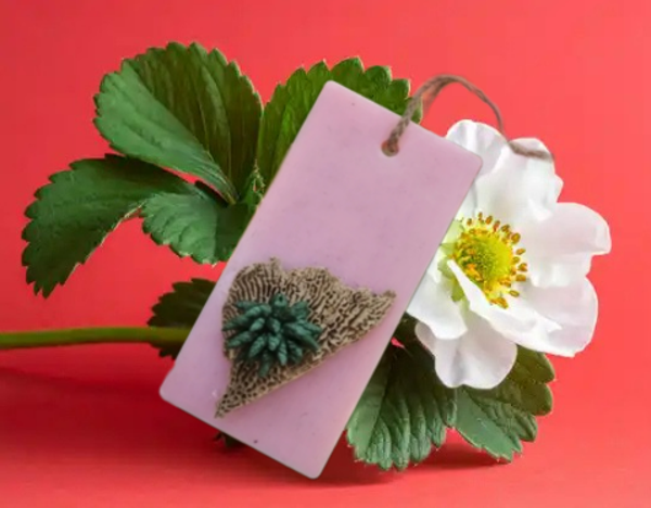 Suspended Smell Fraise