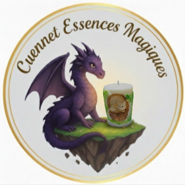 Cat Cocooning Givré