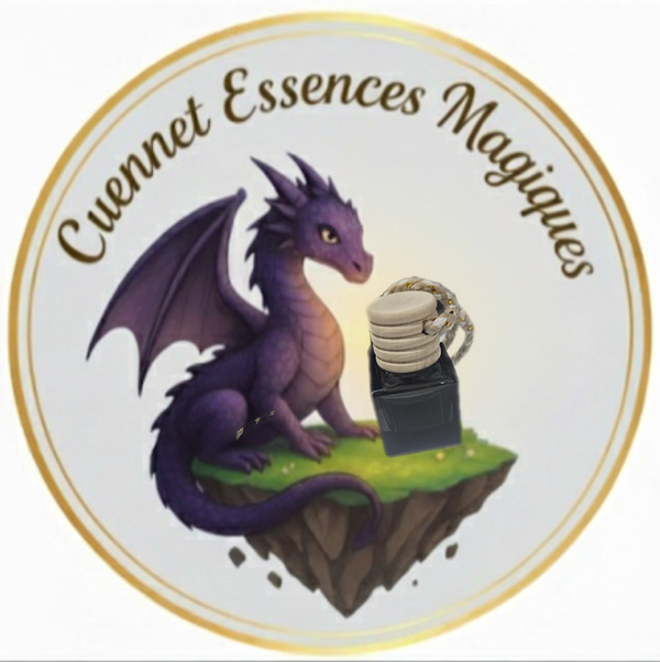 Diffuseur Voiture Vin Chaud