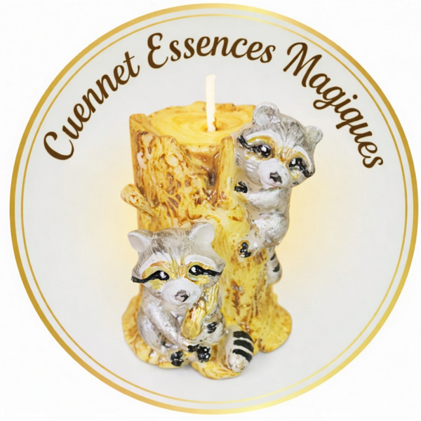 A - Raton Family Inodore