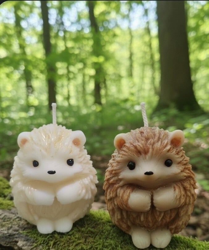 ki'pique et Tit'pique