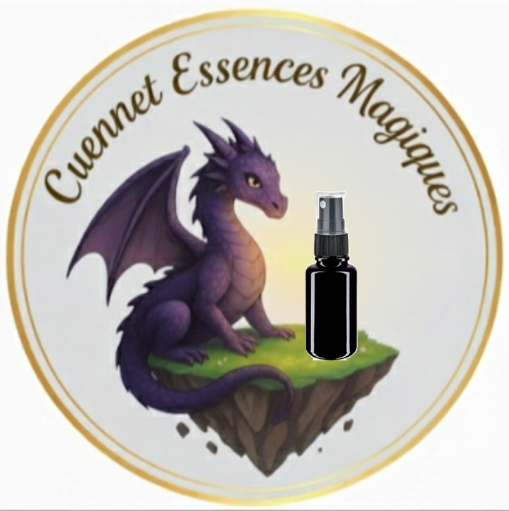 Spray d'Ambiance Epices de Noël