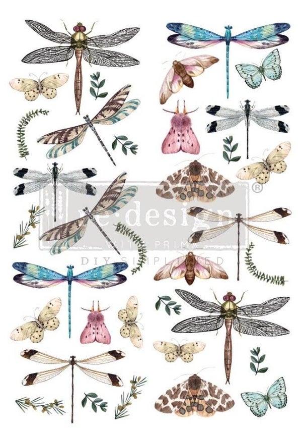 Riverbed Dragonflies transfer