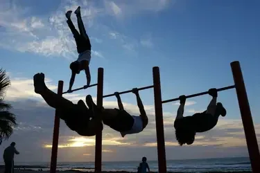 CURSO DE ENTRENADOR ESPECIALISTA EN CALISTENIA. ( FORMACIÓN NO REGLADA)