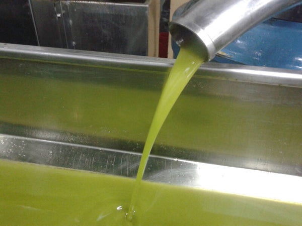 2 liter  extra virgin olijfolie