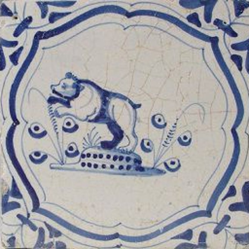 tegel_zoogdier_beer_B55_35_crop.jpg